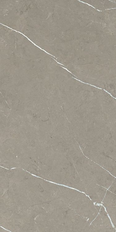 Malaysia Mount Grey Matte 12 x 24